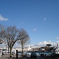 DSC05467.JPG