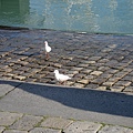 DSC05475.JPG