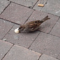DSC05482.JPG