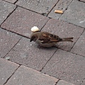 DSC05484.JPG