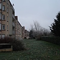 DSC04833.JPG