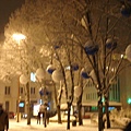 DSC05009.JPG