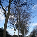 DSC05584.JPG