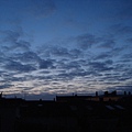 DSC05621.JPG