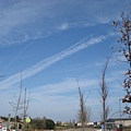 DSC05662.JPG