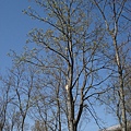 DSC05671.JPG