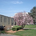 DSC05677.JPG