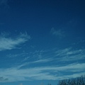 DSC05501.JPG