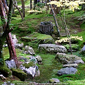 苔寺(西芳寺)