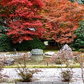 苔寺(西芳寺)