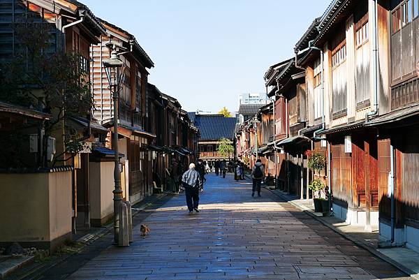 P1330692.JPG
