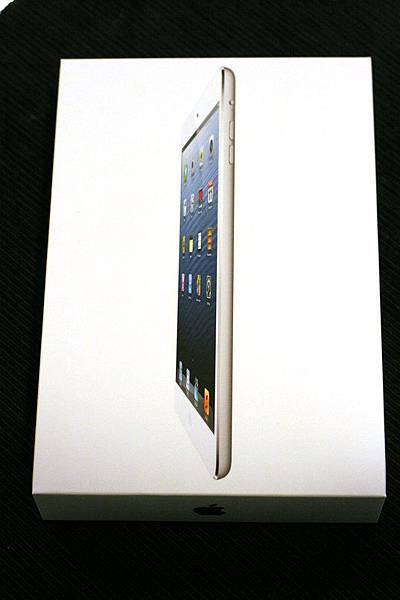 ipad mini 01