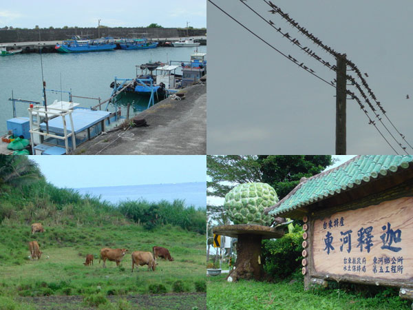 2008拼圖環島031.jpg