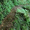 DSC07480.JPG