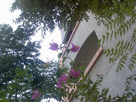 DSC00014 DSC00014