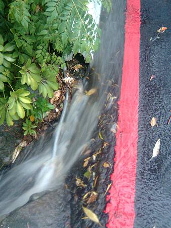 湍急水流 湍急水流