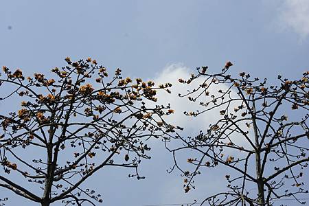 20120327 025 20120327 025