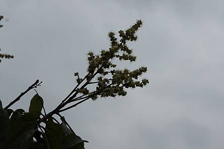 20120415 083 20120415 083