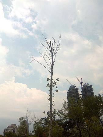 20140725天空-3 20140725天空-3