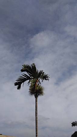 20140919天空-1 20140919天空-1