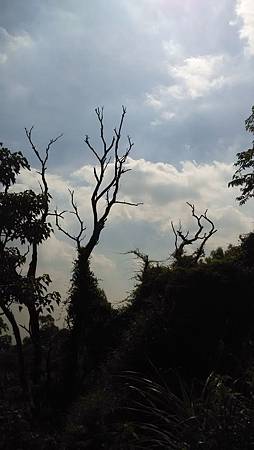 小旅行-20 小旅行-20