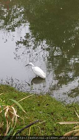 20150206大安森林公園-3