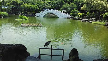 20150609湖上拱橋 20150609湖上拱橋