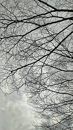 20160320天空-1 20160320天空-1