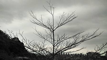 20160321天空-3 20160321天空-3
