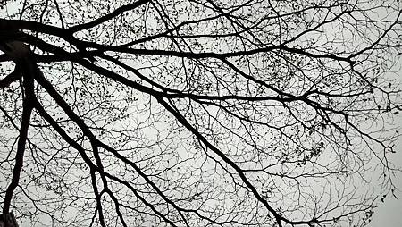 20170307天空-1 20170307天空-1