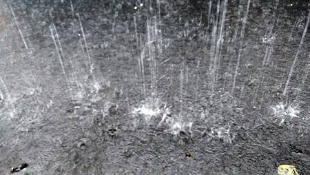 20170602下大雨-2 20170602下大雨-2