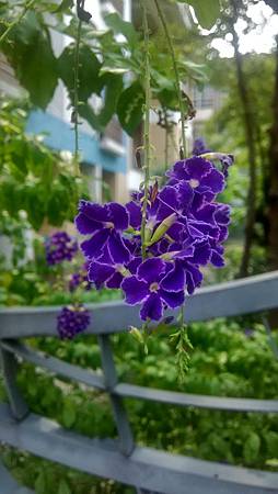 IMG_20170928_123850_HDR IMG_20170928_123850_HDR