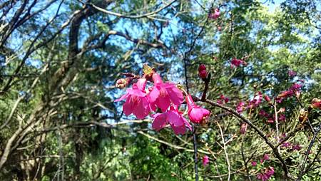 IMG_20180219_141745_HDR IMG_20180219_141745_HDR