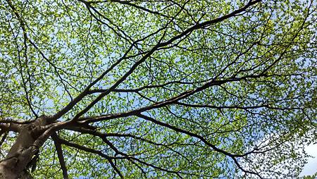 IMG_20180327_100807_HDR IMG_20180327_100807_HDR