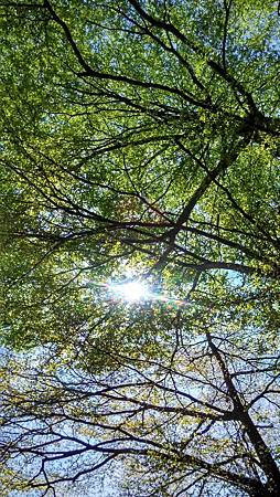 IMG_20180329_100757_HDR IMG_20180329_100757_HDR