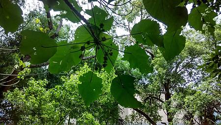 IMG_20180526_100759_HDR IMG_20180526_100759_HDR