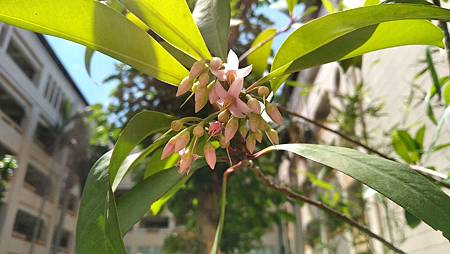 IMG_20180617_094458 IMG_20180617_094458