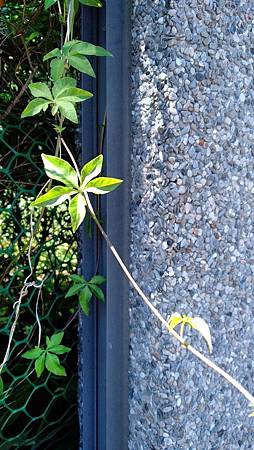 IMG_20180914_100457 IMG_20180914_100457