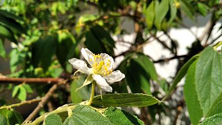 IMG_20180918_100154 IMG_20180918_100154
