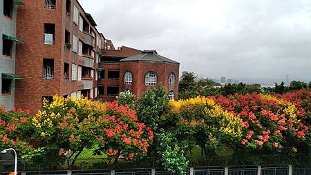 IMG_20181004_094338 IMG_20181004_094338