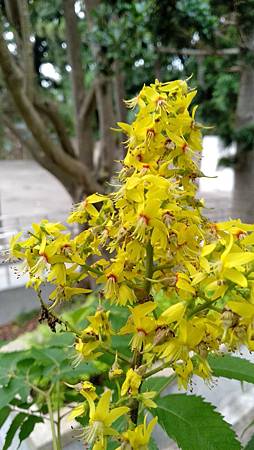 IMG_20180930_105554 IMG_20180930_105554