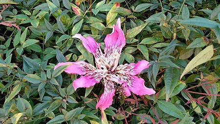 IMG_20181028_105512 IMG_20181028_105512