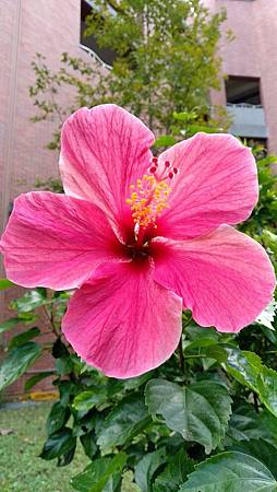 IMG_20181104_152243 IMG_20181104_152243