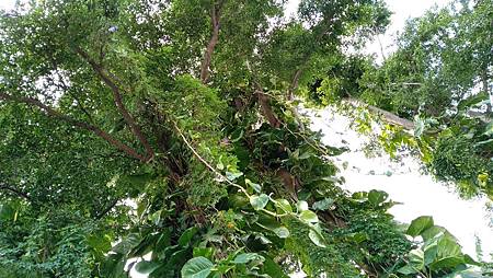 IMG_20181114_100759 IMG_20181114_100759