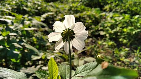 IMG_20190130_084334 IMG_20190130_084334