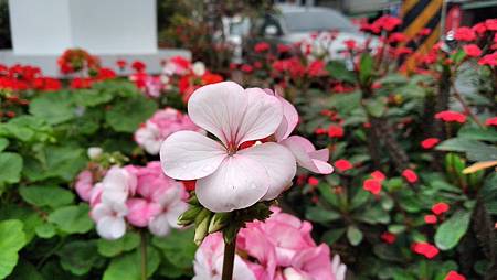 IMG_20190205_111745 IMG_20190205_111745