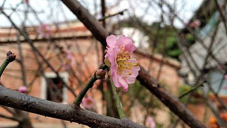 IMG_20190302_092344 IMG_20190302_092344