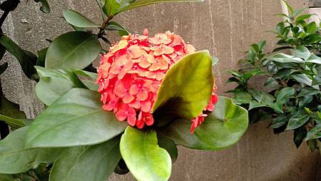 IMG_20190519_073753 IMG_20190519_073753