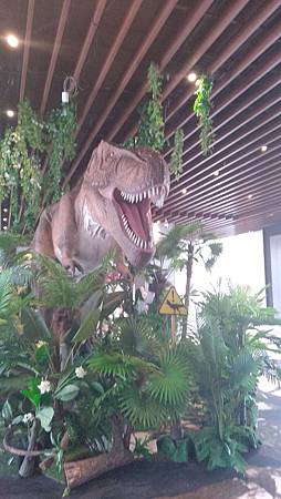 IMG_20190819_140743 IMG_20190819_140743