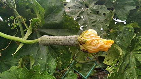 IMG_20190914_100149 IMG_20190914_100149